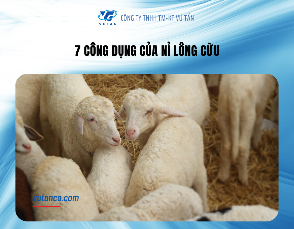 Nỉ lông cừu